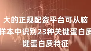 大的正规配资平台可从脑脊液样本中识别23种关键蛋白质特征