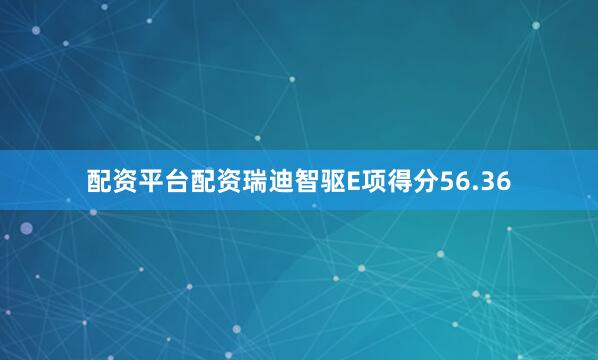 配资平台配资瑞迪智驱E项得分56.36