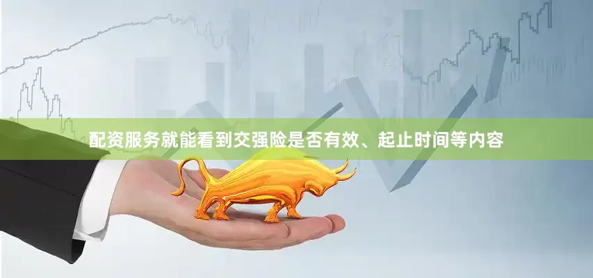 配资服务就能看到交强险是否有效、起止时间等内容