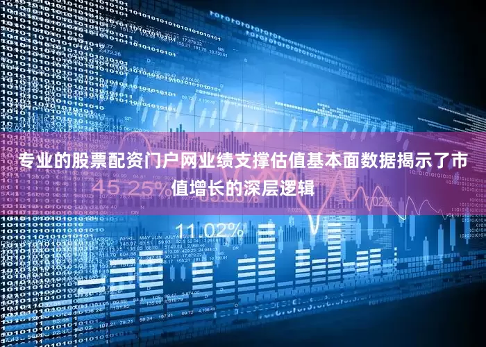 专业的股票配资门户网业绩支撑估值基本面数据揭示了市值增长的深层逻辑