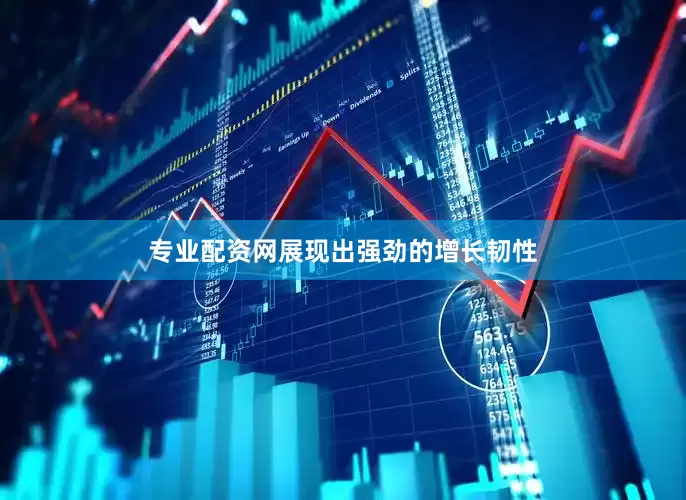 专业配资网展现出强劲的增长韧性