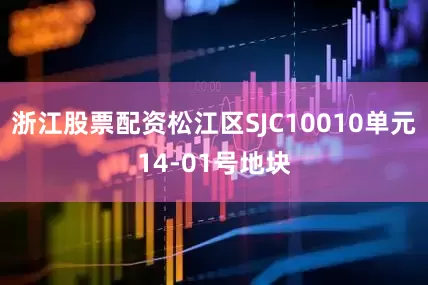 浙江股票配资松江区SJC10010单元14-01号地块